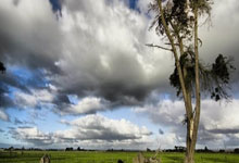 梅西正式加盟巴黎聖日耳曼 聯賽首秀還需等待.